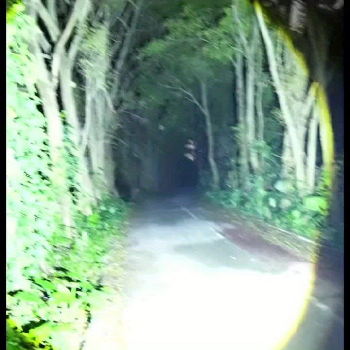 4 Pack USB Rechargeable Handheld LED Flashlights With COB