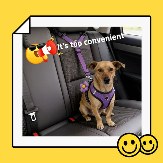 3pcs Dog Belt and Car Headrest Universal Belt | Essential for Pet Travel, Adjustable Towing Rope, Pet Supplies, Hand Wash Only