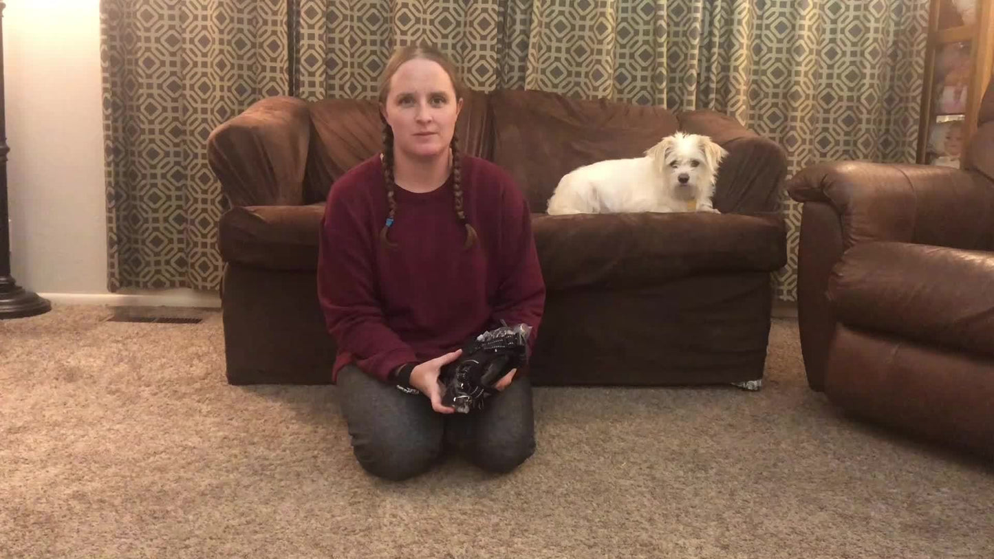 FURRYFECTION Reflective No Pull Harness With Leash Kit