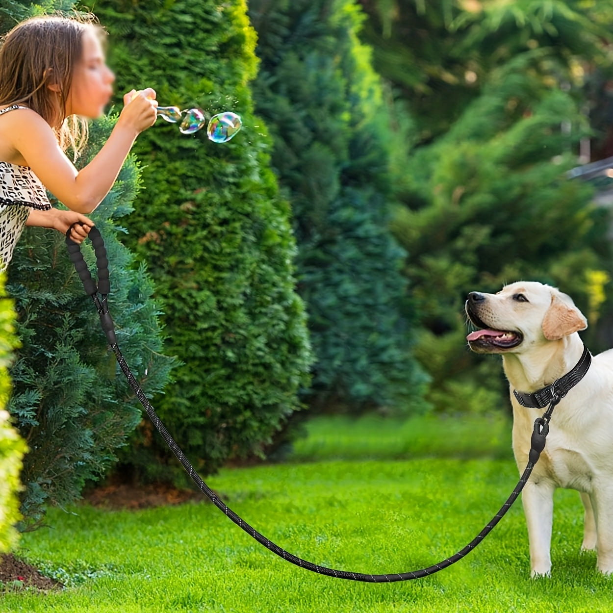 3 In 1 Harness Set, Soft Padded Dog Collar & Durable Adjustable Chest Harness With Heavy-Duty Leash, Reflective Oxford Fabric, Non-Choke, Easy Control Handle & Quick-Release Buckles, Breathable Mesh, For Dogs Of All Sizes(S,