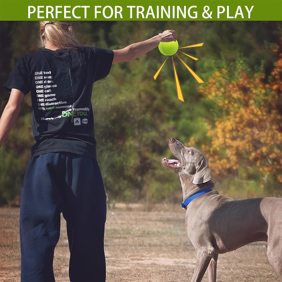 2/4/6pcs Oversized Tennis Ball Dog Toy with Natural Rubber Squeaker - Heavy-Duty Loud Squeaky Ball for Fetch, Training, Tug-of-War & Dental Suitable for Breed Sizes (4-inch)