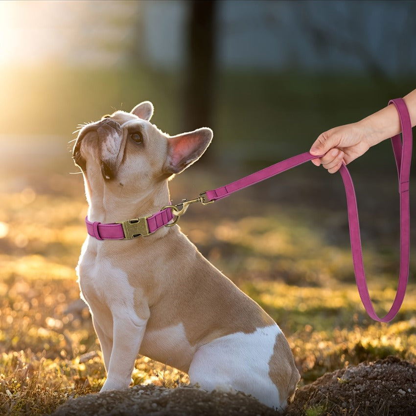 1pc Faux Leather Dog Collar and Leash Set - Adjustable Reflective Padded Pet Collar with Golden-Tone Hardware, Comfortable Soft Cushioned Design for Small/Medium/Large Dogs, Nighttime Safety, Training & Walking, Durable Synth