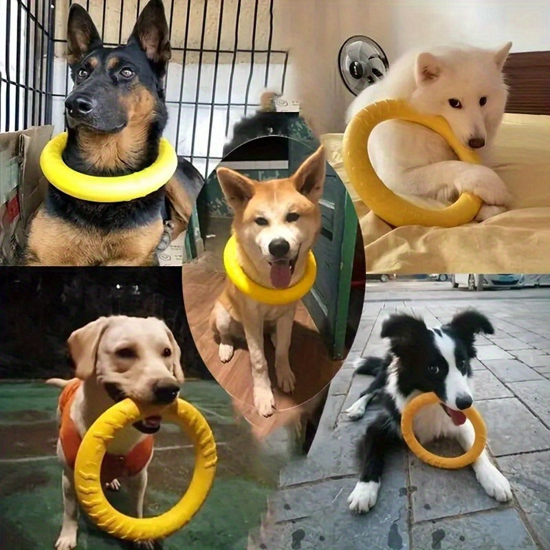 2pcs Heavy-Duty Dog Disc Toss Ring & Disc - Chew-Resistant Non-Toxic Synthetic Rubber with Bright Yellow/Blue Rings for Fetch, Tug-of-War, Training Suitable for All Dog Breeds & Sizes