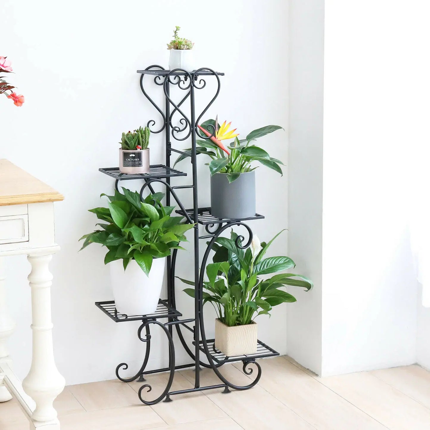 Bingopaw 6 Tier Metal Plant Stand Indoor Outdoor Garden Display Heavy Duty Iron Rack-A