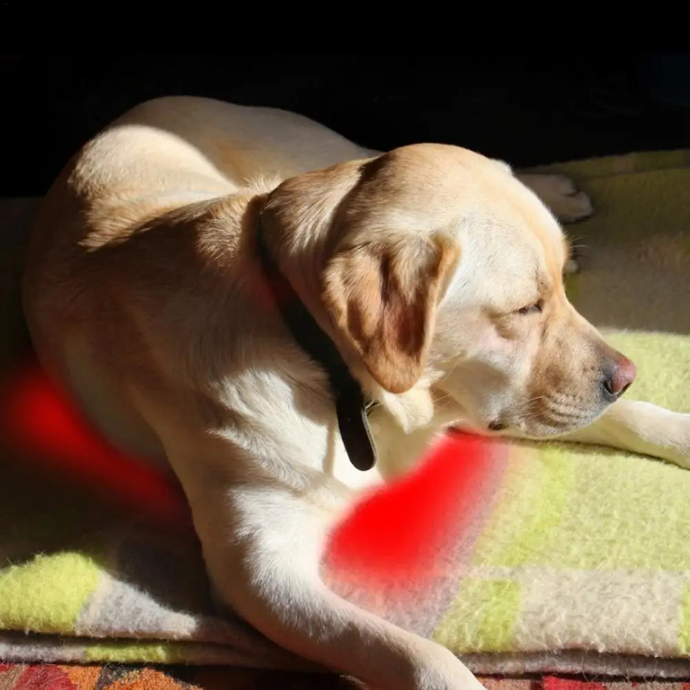 Pet USB Powered Heating Pad For Dogs And Cats Indoor Use Carbon Fiber Pad With Three Temperature Settings-A
