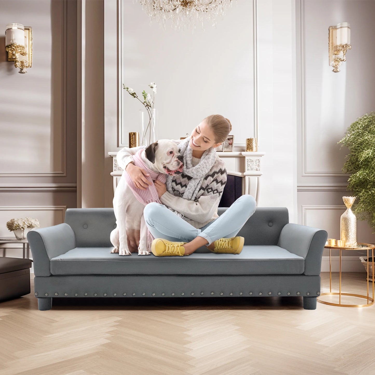 Bingopaw Rectangle Elevated Dog Bed And Sofa For Medium And Large Dogs Cushioned Support And Modern Design-A