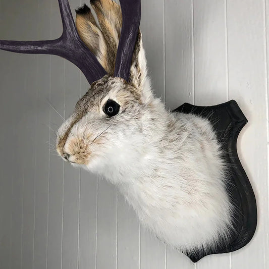 Resin Bunny Head Wall Decor With Antlers Jackalope Taxidermy Ornament