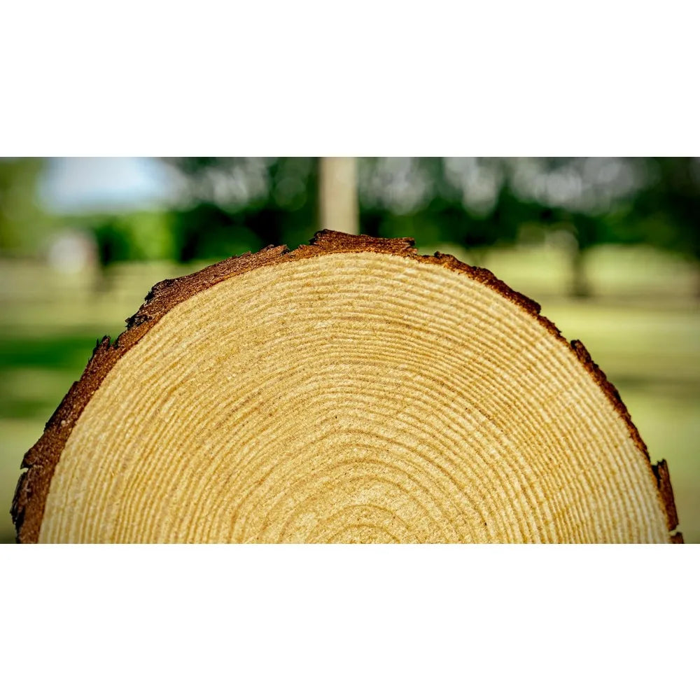 Set of 12 Unfinished Wood Slices for Elegant Centerpieces Rustic Wedding Decor Essentials, Wood Art-A