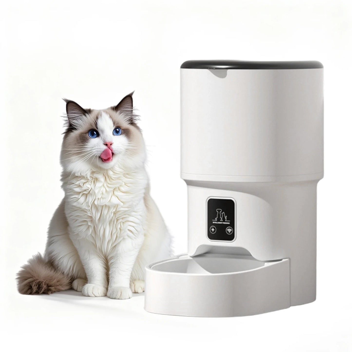 HiMISS Programmable Pet Feeder With Timer And Portion Control Large 4L Capacity For Cats And Small To Medium Dogs-A