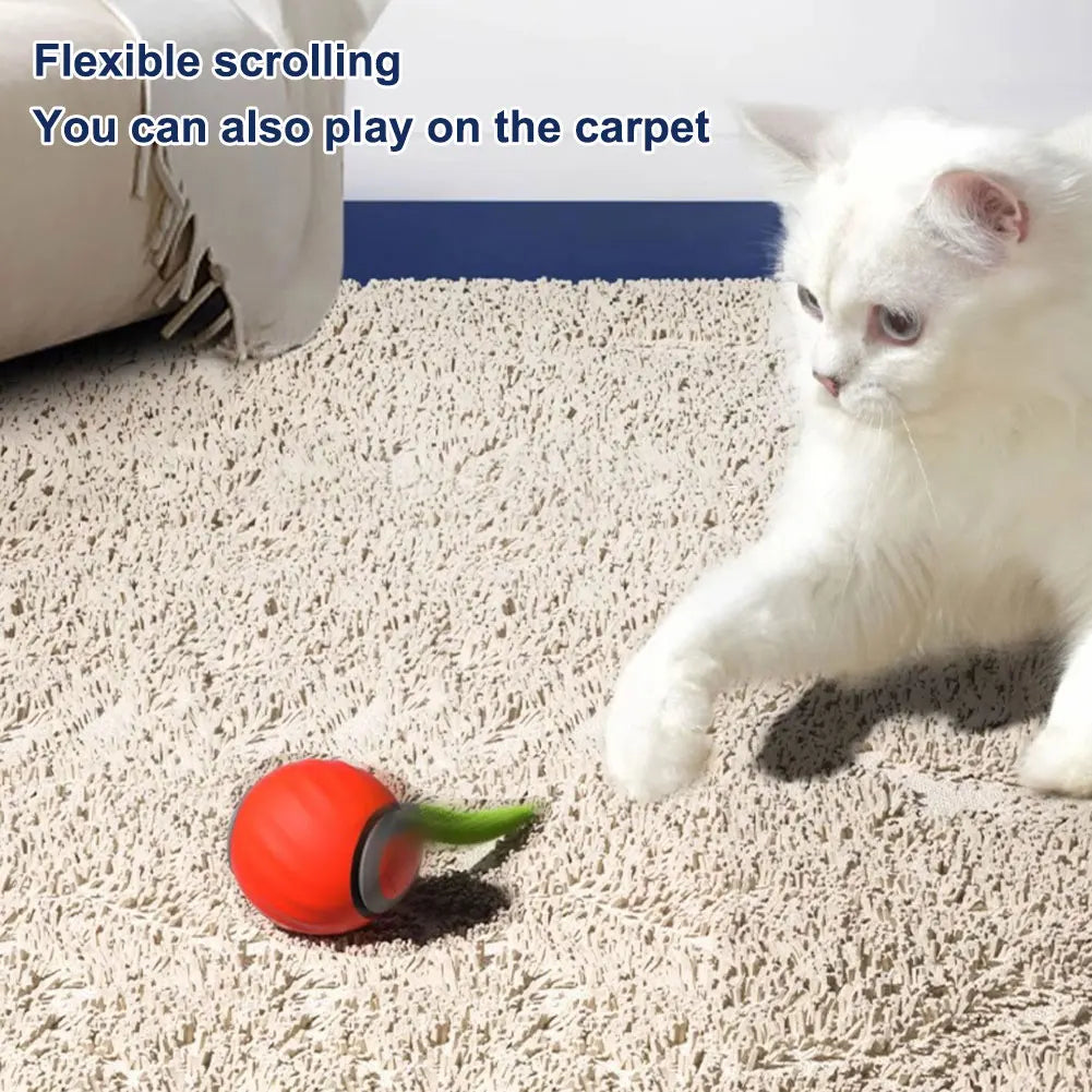 Automatic Moving Cat Toy Ball With Dual Speed USB Rechargeable Interactive Interchangeable Tails For Indoor Cats-A