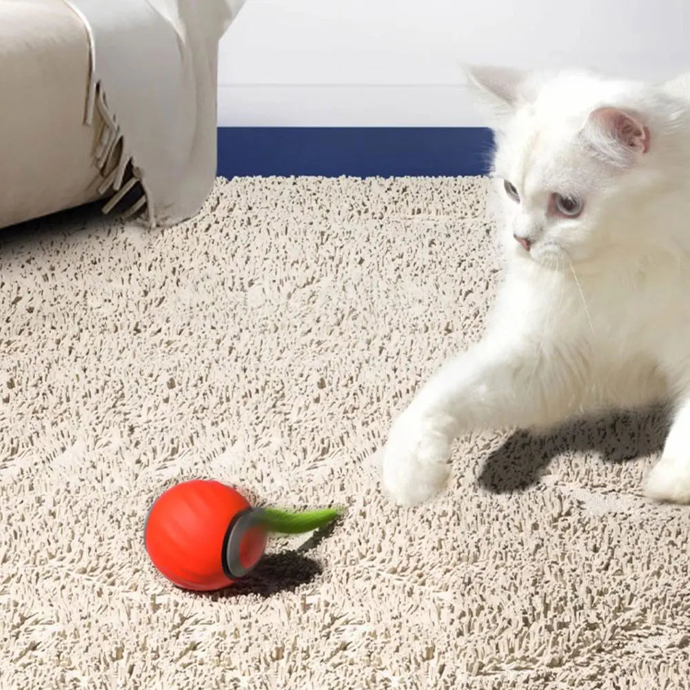 Automatic Moving Cat Toy Ball With Dual Speed USB Rechargeable Interactive Interchangeable Tails For Indoor Cats-A