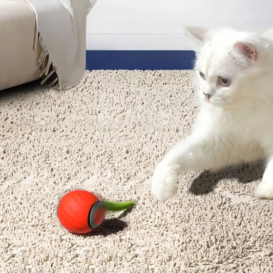 Automatic Moving Cat Toy Ball Dual Speed USB Rechargeable