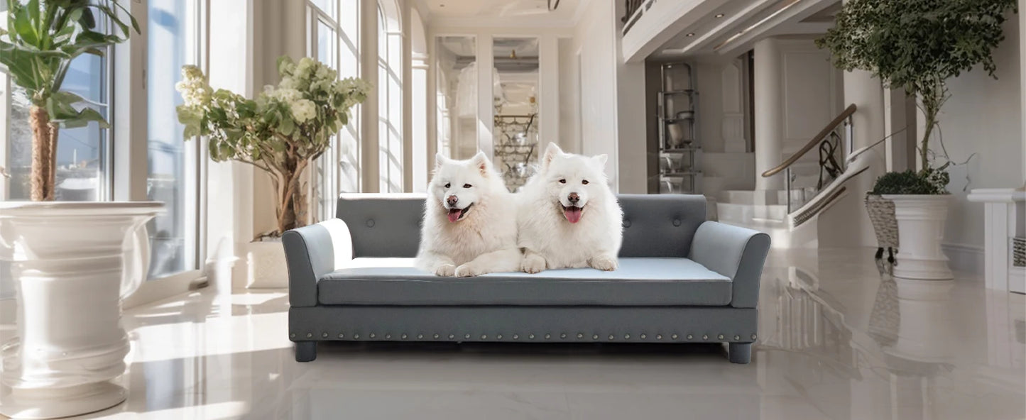 Bingopaw Rectangle Elevated Dog Bed And Sofa For Medium And Large Dogs Cushioned Support And Modern Design-A