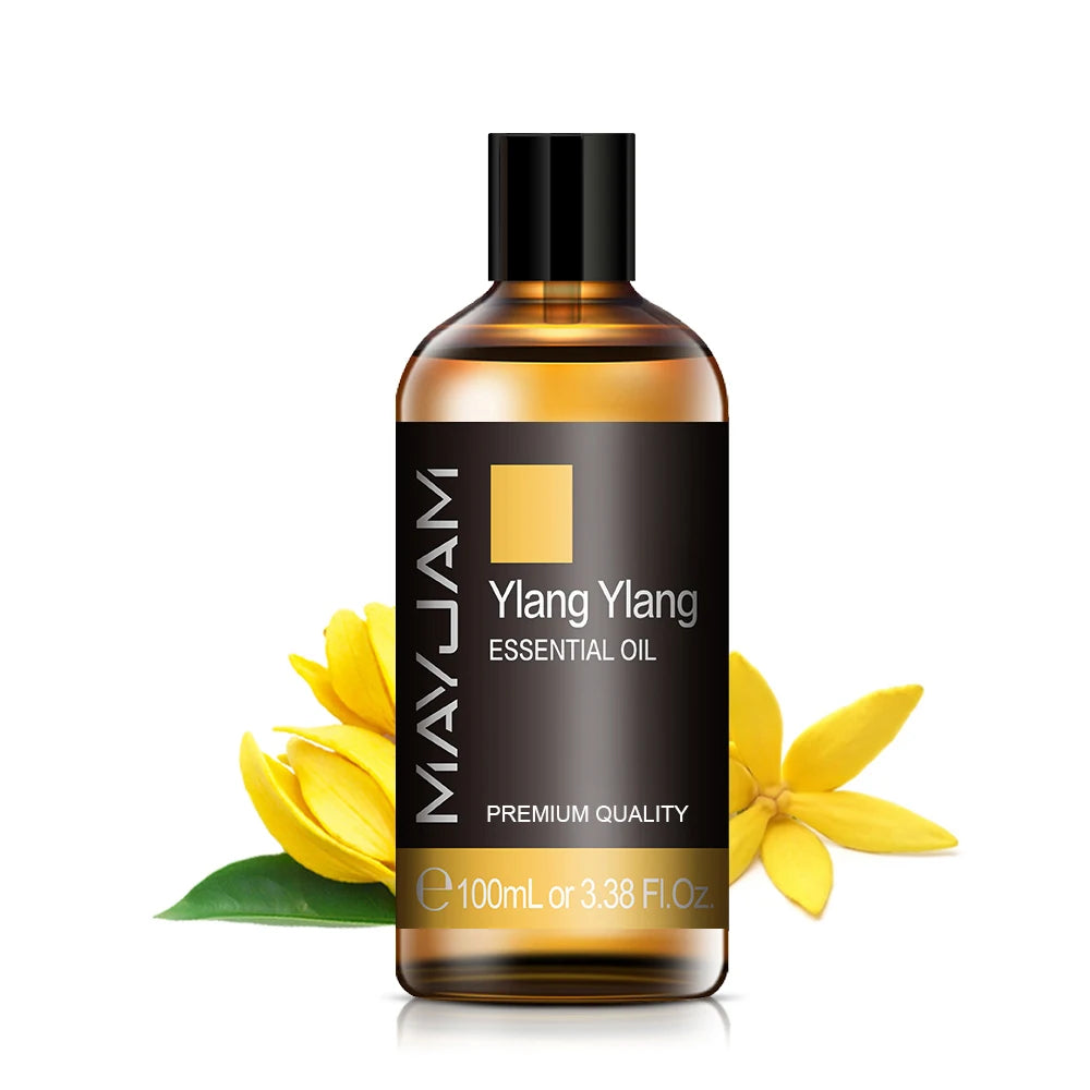 MAYJAM Essential Oils for Humidifier Aromatherapy Lavender Eucalyptus Rose