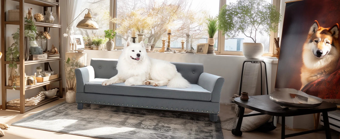 Bingopaw Rectangle Elevated Dog Bed And Sofa For Medium And Large Dogs Cushioned Support And Modern Design-A